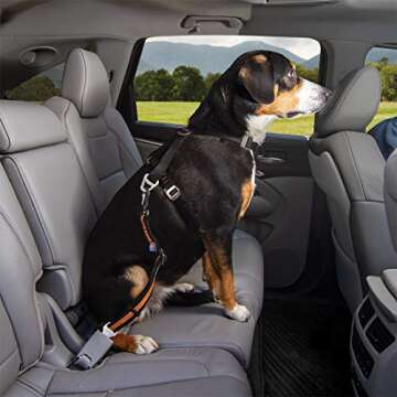 Kurgo Direct to seat Belt Tether for Dogs, Car seat Belt for Pets, Adjustable Dog Safety Belt Leash, Quick & Easy Installation, Works with Any Pet Harness, Carabiner, Swivel, Bungee, Zipline
