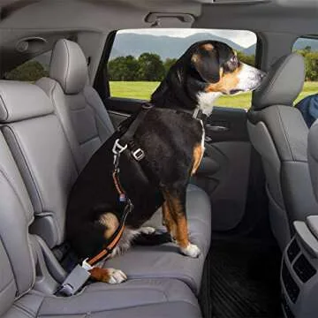 Kurgo Direct to seat Belt Tether for Dogs, Car seat Belt for Pets, Adjustable Dog Safety Belt Leash, Quick & Easy Installation, Works with Any Pet Harness, Carabiner, Swivel, Bungee, Zipline