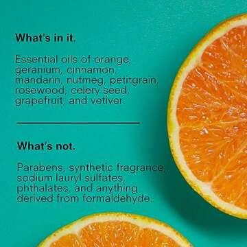 Public Goods Conditioner for Women & Men | Natural Conditioner to Protect & Moisturize Dry Hair | Made with Organic Essential Oils | Sulfate & Paraben Free | Vegan Friendly | 34 Fl Oz Refill