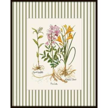 Green Stripe Antique Botanical Prints No 4 - Vintage Botanical Wall Art (Set of 4)