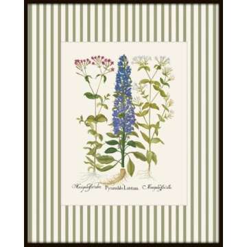 Vintage Botanical Wall Art Prints for Home Decor