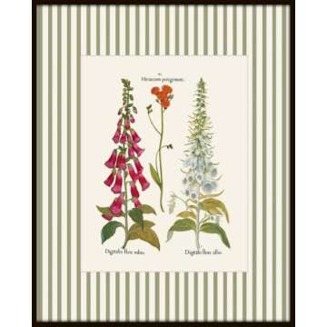 Vintage Botanical Wall Art Prints for Home Decor