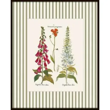 Vintage Botanical Wall Art Prints for Home Decor