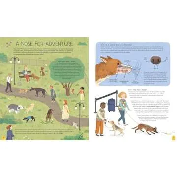 A World of Dogs: Fascinating Stories for Dog Lovers