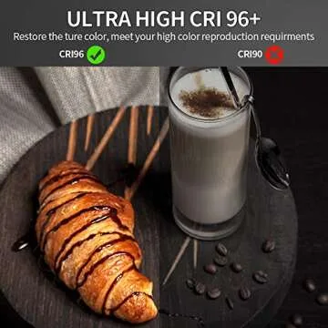 FOSITAN 2 Kits Bi-Color LED Video Light with LCD Display