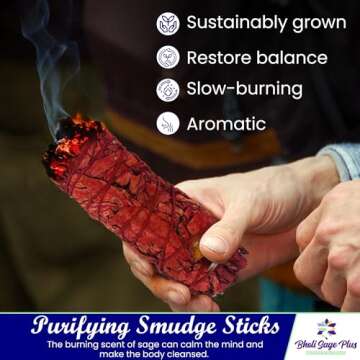 Bholi Sage Plus Sage Smudge Kit for Cleansing Negative Energy and Cleansing Home Sinuata, Dragon Blood, Cinnamon and Triple Flower Dried - 4'' Long Pack of 4 White California Sage Sticks