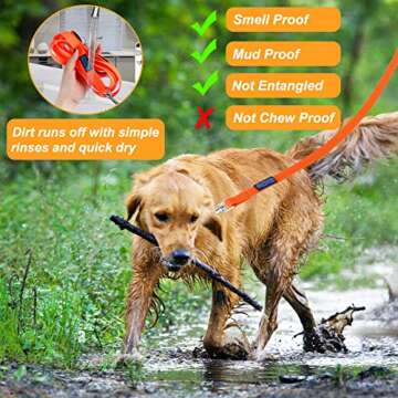 Durable Vivifying Waterproof Dog Leash 32FT for Training