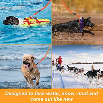 Durable Vivifying Waterproof Dog Leash 32FT for Training