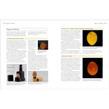 Hatching & Brooding Your Own Chicks: Chickens, Turkeys, Ducks, Geese, Guinea Fowl