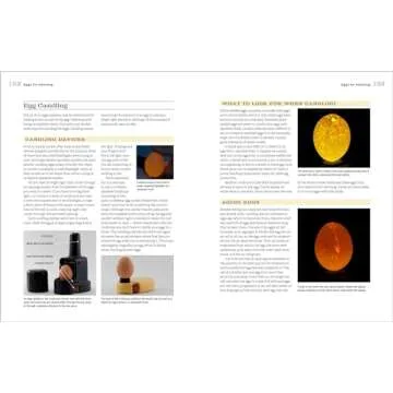 Hatching & Brooding Your Own Chicks: Chickens, Turkeys, Ducks, Geese, Guinea Fowl