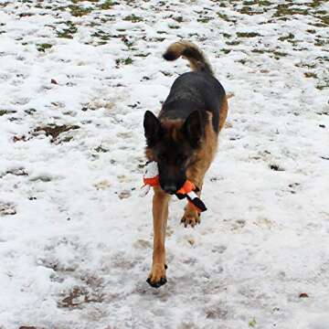 Jalousie 5 Pack Value Bundle Dog Toys Assortment Dog Plush Toys Dog Squeaky Toys Assortment Puppy Pet Mutt Dog Toy Dog Squeak Toy for Small Medium Large Dogs