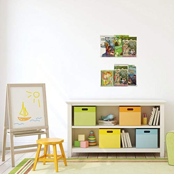 Evron Acrylic Floating Shelves for Kids Books & Decor
