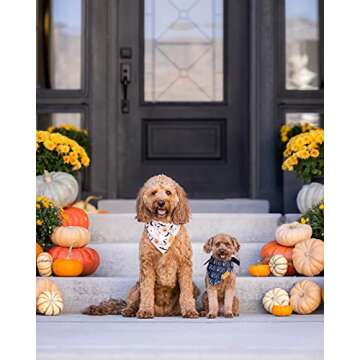Remy+Roo Dog Bandanas - 2 Pack | Halloween Dog Bandanas Spooky Set | Premium Durable Fabric Bandanas...