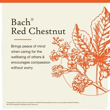 Bach Red Chestnut Flower Essence for Stress Relief