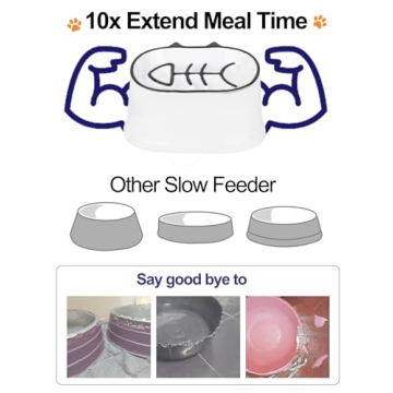 Y YHY Slow Feeder Cat Bowl 7 Inch Elevated Ceramic Bowl