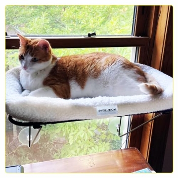 Window Cat Perch - Easy Install Cat Bed for Felines