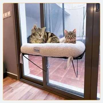 Window Cat Perch - Easy Install Cat Bed for Felines