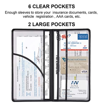 Cacturism Car Registration Holder for Essential Documents