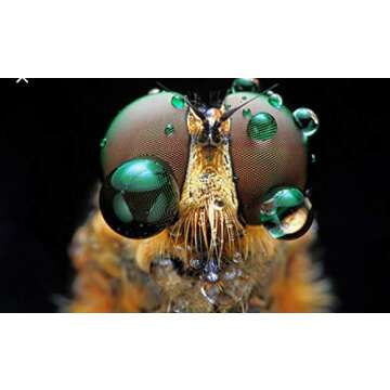 3 in 1 Camera Phone Lens Attachment kit Clip on PRO HD Macro-Lens Wide-Angle Lens Fisheye-Lens for A...