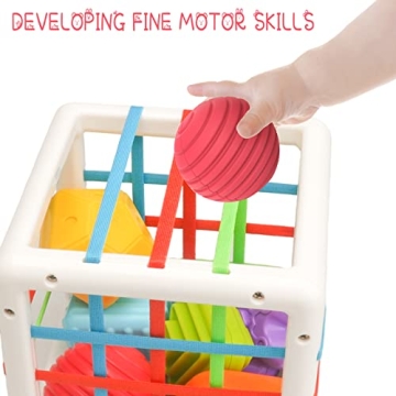 Wonuu Baby Shape Sorting Toy for Fun Learning