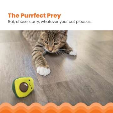 Catstages Lil' Avocato Dental Health Catnip Cat Chew Toy
