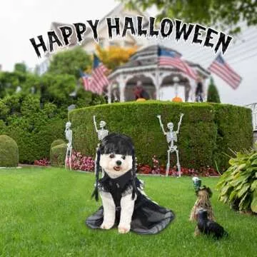 Coume Black Dog Halloween Costume Set for Medium Pets