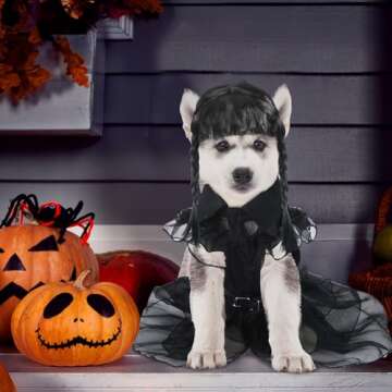 Coume Black Dog Halloween Costume Set for Medium Pets