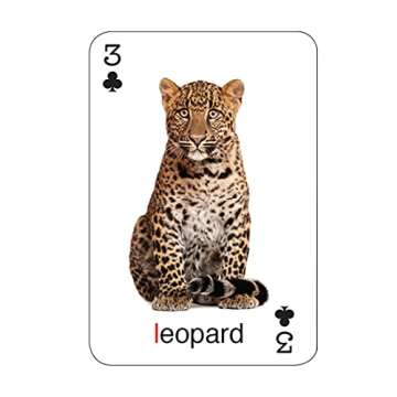 Super Duper Publications | Tiny Talk Articulation and Language L Sound Photo Flash Cards | Education...