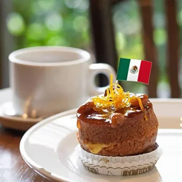 Vibrant 100 Pack Mexico Flag Toothpick Flags for Parties