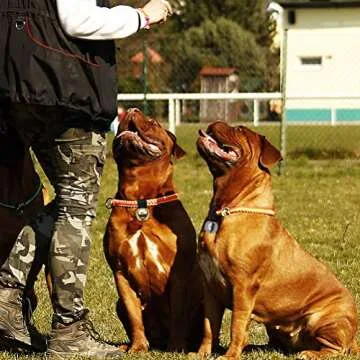 SCENEREAL Large Dog Collar Bell for Training, Hiking, Walking, Hunting, Pet Tracker, 2 Pack 1.5" Extra Loud Pet Bell for Save Wildlife and Birds (Bear Bell, Cow Bell) Gold | Silver