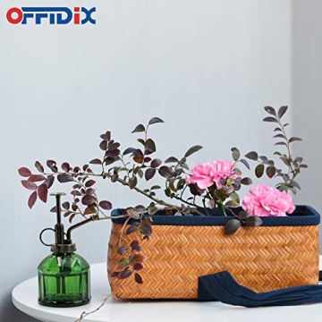 OFFIDIX Glass Plant Mister - Vintage Style Indoor Spritzing Can