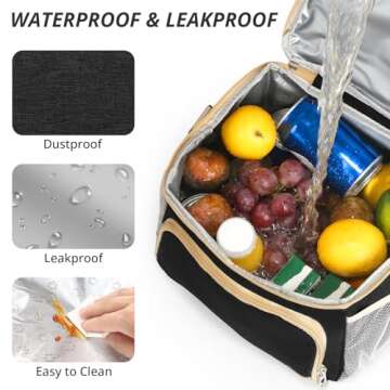 Roamall Large Insulated Lunch Bag for Work and Picnics