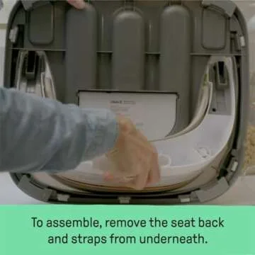 Ingenuity Baby Base 2-in-1 Booster Feeding and Floor Seat with Self-Storing Tray - Peony