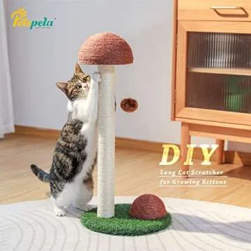 Stylish Mushroom Cat Scratching Post for Kittens