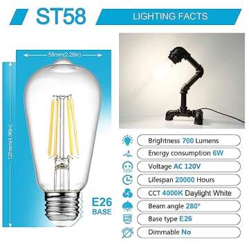 Ascher Vintage LED Edison Bulbs, 6W, Equivalent 60W, Non-Dimmable, High Brightness Daylight White 40...