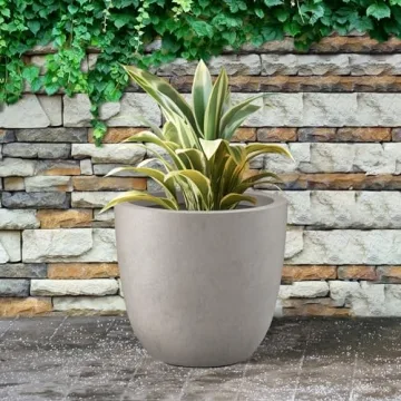 Kante 14" Stylish Concrete Planter for Indoor Outdoor Use