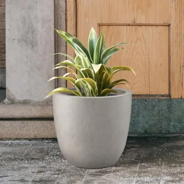 Kante 14" Stylish Concrete Planter for Indoor Outdoor Use
