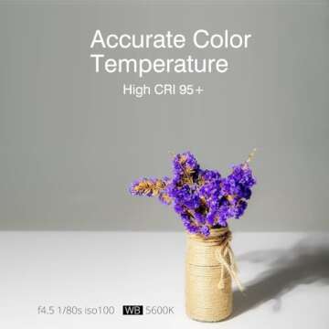 Godox SL-60W SL60W CRI95+Qa>90 5600±300K Bowens Mount LED Video Light,433MHz Grouping System,Wirelessly Adjust Brightness,for Video Recording Wedding Outdoor Shooting,W/Reflector,LETWING Color Filter