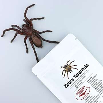 Newport Jerky Company Edible Insects | Edible Zebra Tarantula | Un-Flavored Natural Edible Tarantula