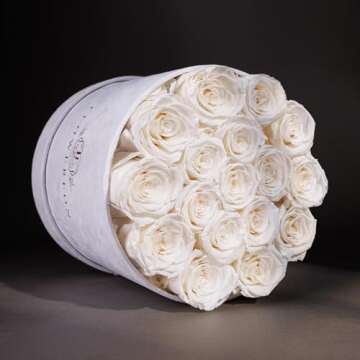 Forever Real Roses in Suede Box - 17-Piece Roses in a Box - Real Preserved Roses That Last Over a Ye...