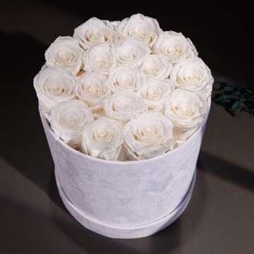 Forever Real Roses in Suede Box - 17-Piece Roses in a Box - Real Preserved Roses That Last Over a Year - Preserved Flowers for Delivery Prime - Valentine's Day, Birthday, Mother's Day (White)