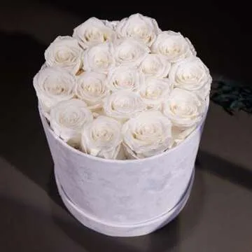 Forever Real Roses in Suede Box - 17-Piece Roses in a Box - Real Preserved Roses That Last Over a Year - Preserved Flowers for Delivery Prime - Valentine's Day, Birthday, Mother's Day (White)