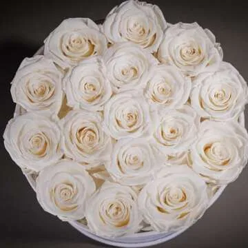 Forever Real Roses in Suede Box - 17-Piece Roses in a Box - Real Preserved Roses That Last Over a Year - Preserved Flowers for Delivery Prime - Valentine's Day, Birthday, Mother's Day (White)
