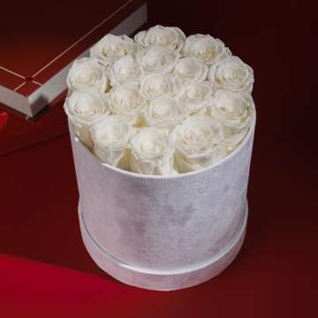 Forever Real Roses in Suede Box - 17-Piece Roses in a Box - Real Preserved Roses That Last Over a Year - Preserved Flowers for Delivery Prime - Valentine's Day, Birthday, Mother's Day (White)