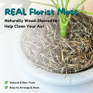 Hidden Cat Litter Box with Planter for Odor Control