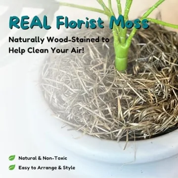 Hidden Cat Litter Box with Planter for Odor Control