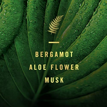 Febreze Forest Scent Odor Eliminator Spray - 27 fl oz