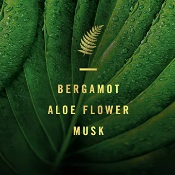 Febreze Forest Scent Odor Eliminator Spray - 27 fl oz