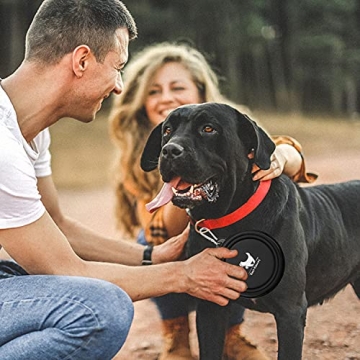 Travel-Friendly Collapsible Dog Bowls for Pets