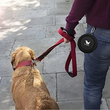 Travel-Friendly Collapsible Dog Bowls for Pets